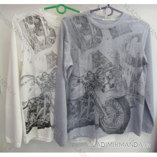 T-Shirt Langarm Junge (134-164) GLASBEAR C-2145
