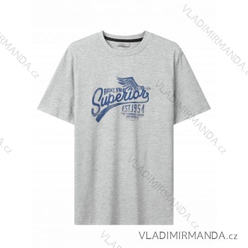 T-Shirt Kurzarm Herren (M-2XL) GLO-STORY GLO24MPO-3518