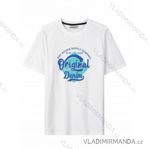 T-Shirt Kurzarm Herren (M-2XL) GLO-STORY GLO24MPO-3520