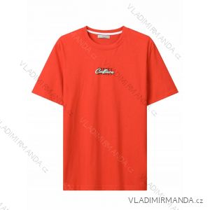T-Shirt Kurzarm Herren (M-2XL) GLO-STORY GLO24MPO-3532