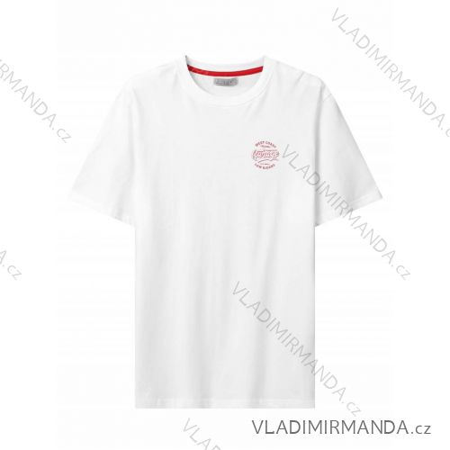 T-Shirt Kurzarm Herren (M-2XL) GLO-STORY GLO24MPO-3505