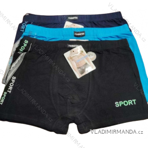 Herren-Boxershorts aus Baumwolle (L-3XL) PESAIL PES24G50008
