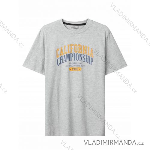 T-Shirt Kurzarm Herren (M-2XL) GLO-STORY GLO24MPO-3521