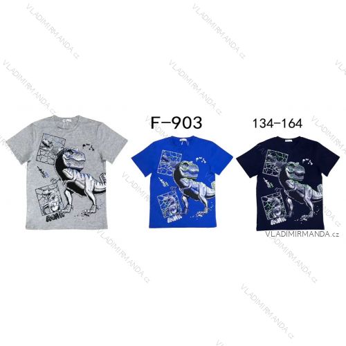 T-Shirt Kurzarm Jugend Junge (134-164) SAISON SEZ23L-1145