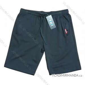 Shorts Shorts Herren (XL-4XL) BENTER BES2428516