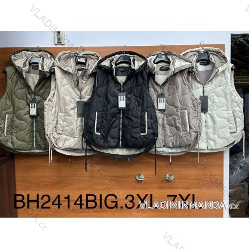 Damen-Winterjacke (S-2XL) POLISH FASHION PMWD23BH2346