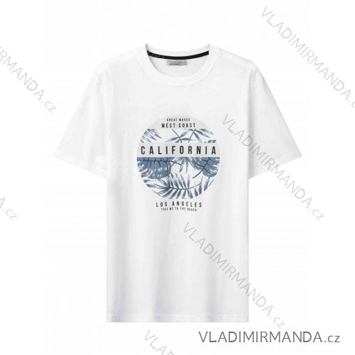 T-Shirt Kurzarm Herren (M-2XL) GLO-STORY GLO24MPO-3496