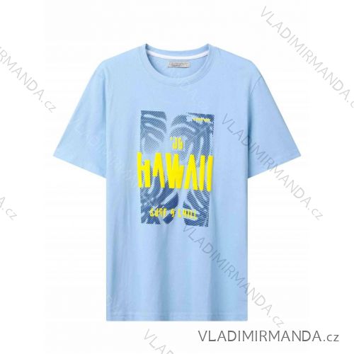 T-Shirt Kurzarm Herren (M-2XL) GLO-STORY GLO24MPO-3497