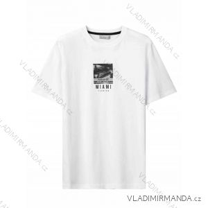 Herren-Kurzarm-T-Shirt (M-2XL) GLO-STORY GLO24MPO-3500