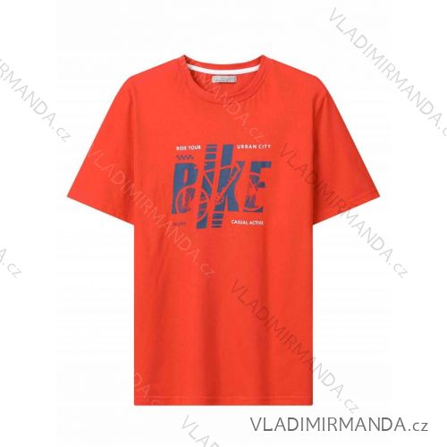 T-Shirt Kurzarm Herren (M-2XL) GLO-STORY GLO24MPO-3556