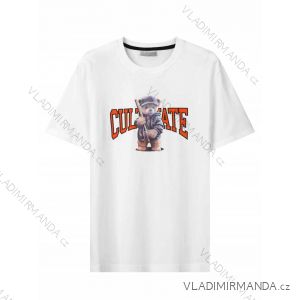 T-Shirt Kurzarm Herren (M-2XL) GLO-STORY GLO24MPO-3561