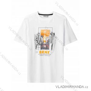 T-Shirt Kurzarm Herren (M-2XL) GLO-STORY GLO24MPO-3452