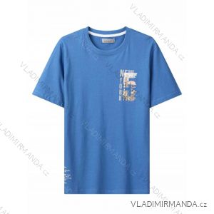 T-Shirt Kurzarm Herren (M-2XL) GLO-STORY GLO24MPO-3455