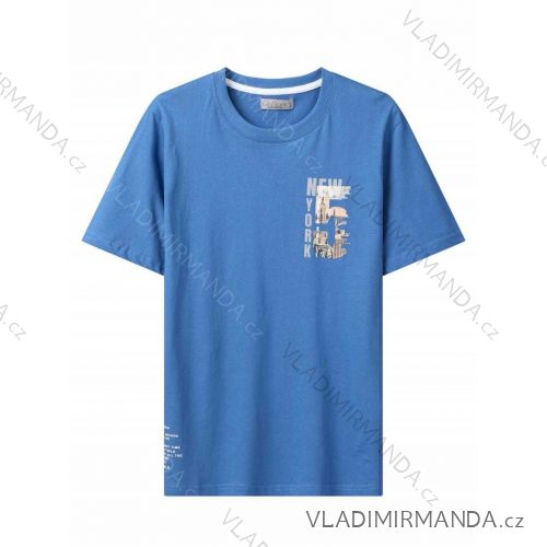 T-Shirt Kurzarm Herren (M-2XL) GLO-STORY GLO24MPO-3455