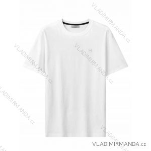 T-Shirt Kurzarm Herren (M-2XL) GLO-STORY GLO24MPO-3540