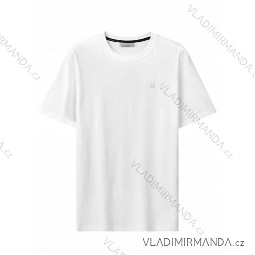 T-Shirt Kurzarm Herren (M-2XL) GLO-STORY GLO24MPO-3540