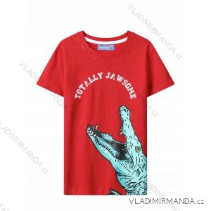 T-Shirt Kurzarm für Kinder (98-128) GLO-STORY BPO-5286