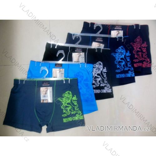 Herren Boxer Baumwolle (l-3xl) PESAIL T060
