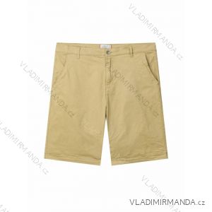 Herren-Shorts in Übergröße (3XL-6XL) GLO-STORY GLO24MMK-4399-4