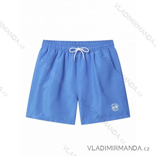 Herrenshorts (M-2XL) GLO-STORY GLO24MTK-4456