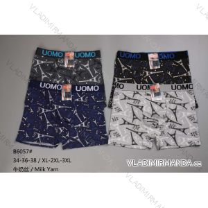 Herren-Boxershorts (XL-3XL) WD24B6057