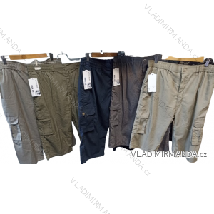 Shorts Männer Shorts (L-4xlL) HUA242008CZ