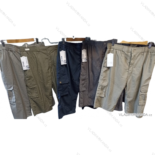 Herrenshorts (L-4XL) HUA242008CZ