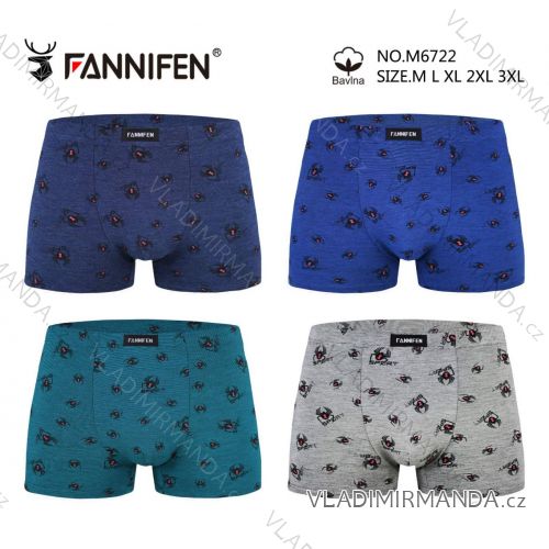 Herren Boxershorts Baumwolle (L-3XL) FANNIFEN PES22G55450-K