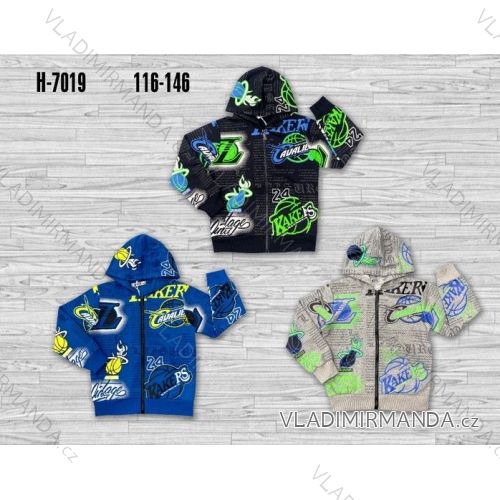 Warmes Kinder-Sweatshirt für Jungen (116-146) SEZON SEZ21H-3031