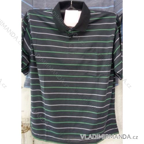 T-Shirt mit Kragen Kurzarm Herren Übergröße (L-4xl) BATY PCS-DET-TUI