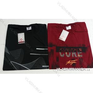 Herren-Kurzarm-T-Shirt (M-2XL OBC24PAN1