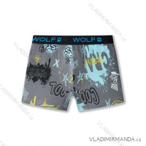 Jungen-Boxershorts (98/104 - 122/128) WOLF L2581