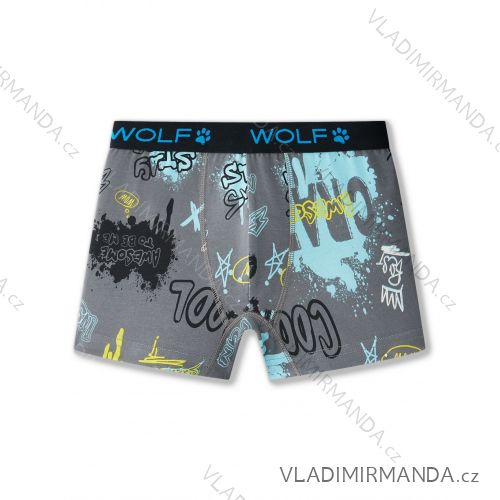 Jungen-Boxershorts (98/104 - 122/128) WOLF L2581