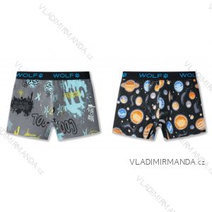 Jungen-Boxershorts (98/104 - 122/128) WOLF L2581