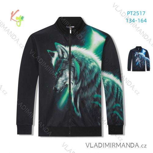 Warmes Langarm-Sweatshirt für Jungen (134-164) KUGO PT2517