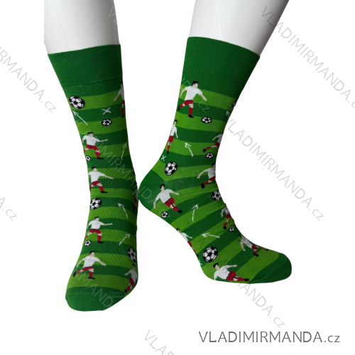 Herrensocken schwach (42-46) POLISH MODA DPP20003  grün