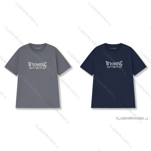 Kurzarm-T-Shirt für Herren, Oversize (M-3XL) WOLF S2571/PIECE