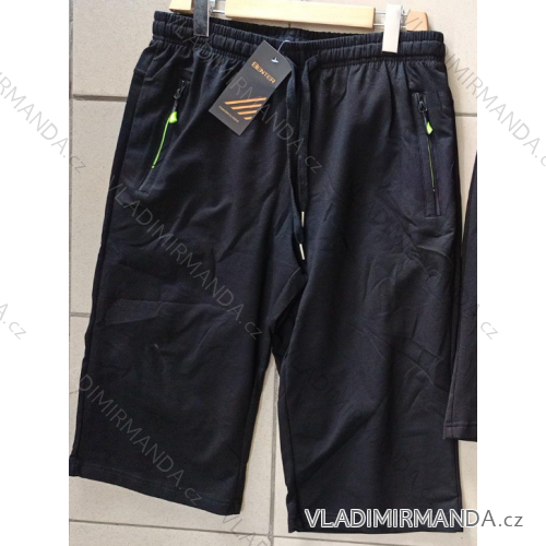 Herrenshorts (XL-4XL) BENTER BES26-28753