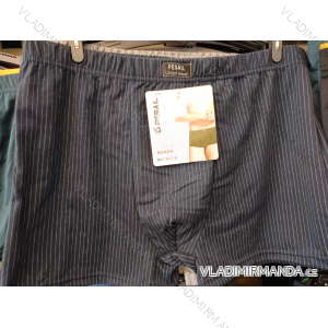 Herren-Boxershorts aus Baumwolle (L-3XL) PESAIL PES26T0276