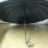 Regenschirm lang 3617B
