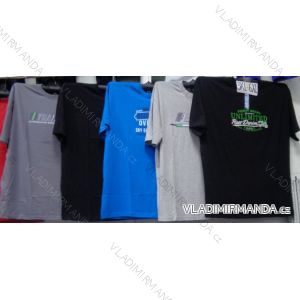 T-Shirt Kurzarm Herren übergroßes (3xl-6xl) DYNAMIC OBS18015