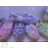 Damenschuhe (36-41) OBB18B797-29
