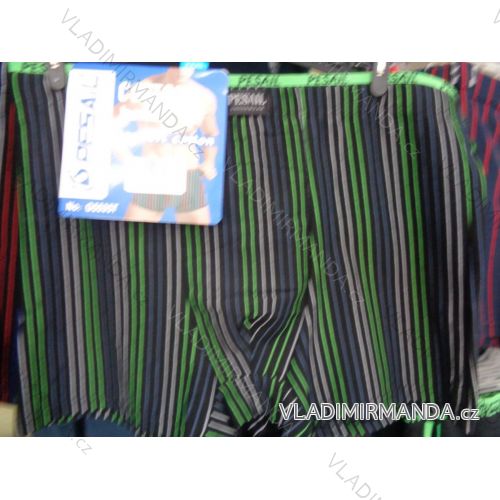 Herrenhosen (l-3xl) PESAIL G55357
