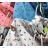 Damen Sweatshirt (m-3xl) VIN180030

