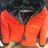 Winterjacke Jacke (s-2xl) MISS SISSY MA118MD2227
