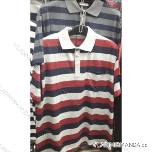 Polo-Shirt, kurze Ärmel, übergroße Herren (3xl-6xl) ALNWICK KP82102