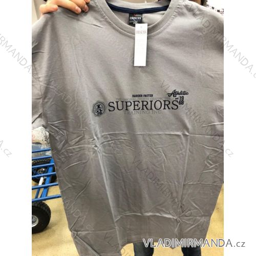 Herren Kurzarm T-Shirt Übergröße (3x1-6xl) OBSESS OBS19081