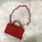 Handtasche FRAUENGRIFF MIT GURT (23 CM x 14 cm) ITALIENISCHE MODE IM819218-33
