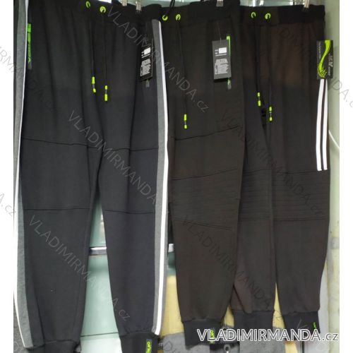 Herren Jogginghose (m-3xl) POLISH FASHION IM1019QNA-1065