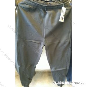 Herren Jogginghose Übergröße (1-3xl) FREE MODE ZA8203
